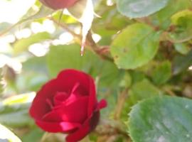 Casa del Carmen, hotel in Río Gallegos