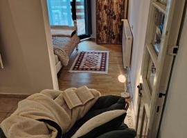 Domus Foresta Apartmani, Hotel in Brdo