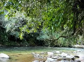 Posadas entre el Bosque-Manacus