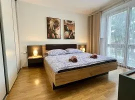 Black Lotus 1 I Downtown Apartment I Free Parking I 24hr Access