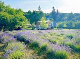 Vulcan eco lodge retreat, holiday home in Kisapáti