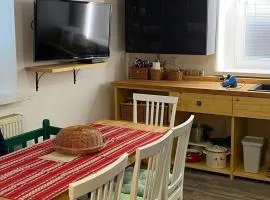 Cozy house with garden, gazebo and barbecue