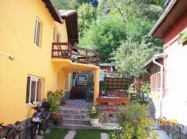 Casa Valea Cerbului Busteni