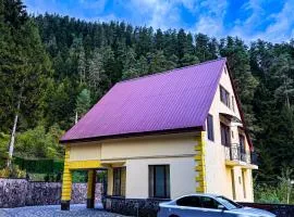 Hidden Forest Cottage