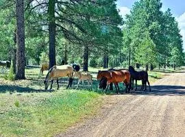 Forest edge, wild mustangs nearby, balcony views By Vacation Your Way
