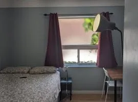 Private Room In Central Hamilton