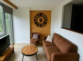 Séjour urbain et verdoyant centre-ville et nature