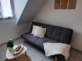 Appartement proche centre-ville