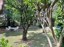 Espacio de Calma en la Falda