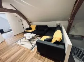 Cozy loft between zoo and castles