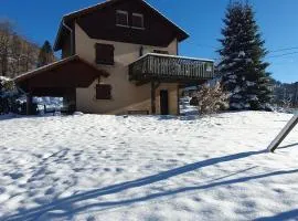 Chalet familial Vosges avec baby-foot et animaux admis - FR-1-589-688