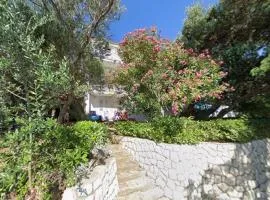 Apartments and rooms with parking space Banjol, Rab - 24964