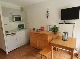 Studio confortable avec accès pistes, navette et parking. Pour 4 pers. - FR-1-358-139