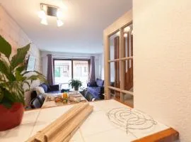 Chalet alpin cosy, navette pistes, terrasse, animaux admis - FR-1-358-169