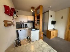 Studio lumineux 4 pers, ski aux pieds, animaux admis - FR-1-358-255