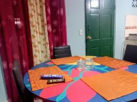 Beautiful air condioned villa for singles, couples, families and groups cozy stay