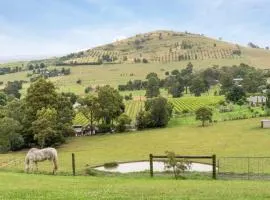 An Unforgettable View