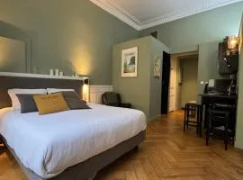 Studio de charme rénové en centre-ville, animaux admis - FR-1-555-123