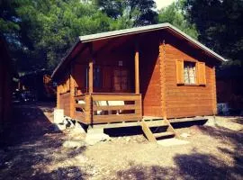 Victoria Cottage Camping Dole