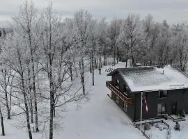 Brīvdienu māja Sniegi