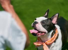 Solana富士御殿場, hotel din Gotemba