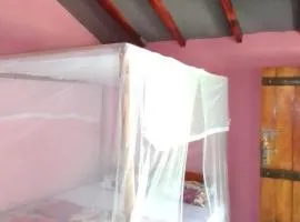 kapi wild cottage Ella