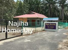 Najiha Homestay Gunung Ledang, ξενοδοχείο σε Bukit Gambir