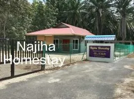 Najiha Homestay Gunung Ledang