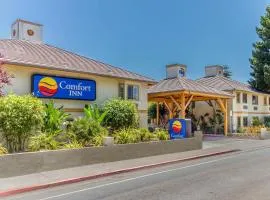 Comfort Inn Santa Cruz North