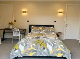 独立出入,专属卫浴 阳光舒适大床房