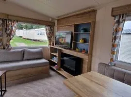 Vacant Nests Seton Sands St Andrews Starlink