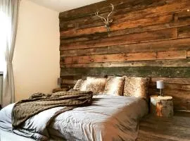 Gemütliches Chalet-Apartment Harzglück am Fuß des Berges