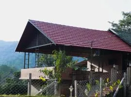 The Rain Tree resort