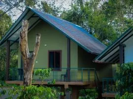 The Rain Tree resort