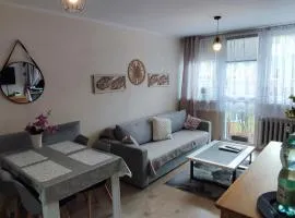 Apartament Centrum