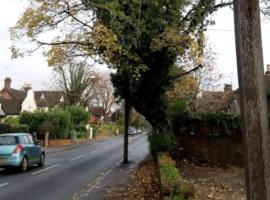 Wimblehurst Hotel, hotel in Horsham