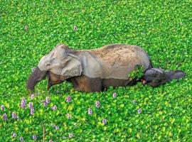 Tabbowa Lake Resort, hotel v destinaci Nikawatawana