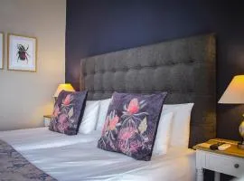 Olive tree private rooms in Stellenbosch- No Load Shedding