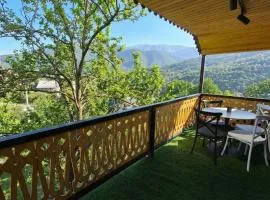 Penthouse 2 , apartment with 2 bedrooms