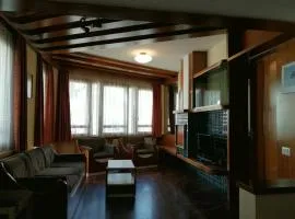 Appartamento IN CENTRO a Predazzo