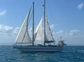 Cabin on Sailing boat cruise Roatan-Cayo Cochino