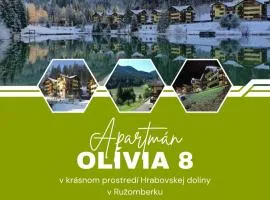 Apartmán Olívia 8 Hrabovská dolina