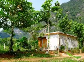 Cozy Tiny House Nature Retreat with Mountain Views