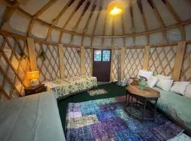 Unique Mongolian Yurt near lake together with guest house