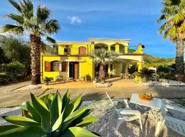 Happy Houses With Garden