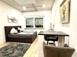 NEU wunderschöne Goldstadt Suite am Schlössle Zentrum Pforzheim