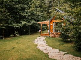 Tiny house nad potokiem, minicasa en Ohłyp&oacute;w