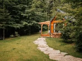 Tiny house nad potokiem