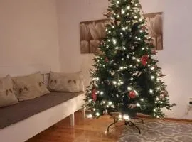 Kodinomainen majoitus Juoksenki, Napapiiri, Lappi