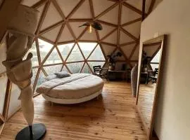 Domaine des Pins L'île au Dôme